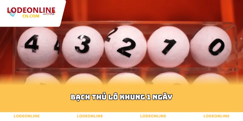 Bạch Thủ Lô Khung 1 Ngày