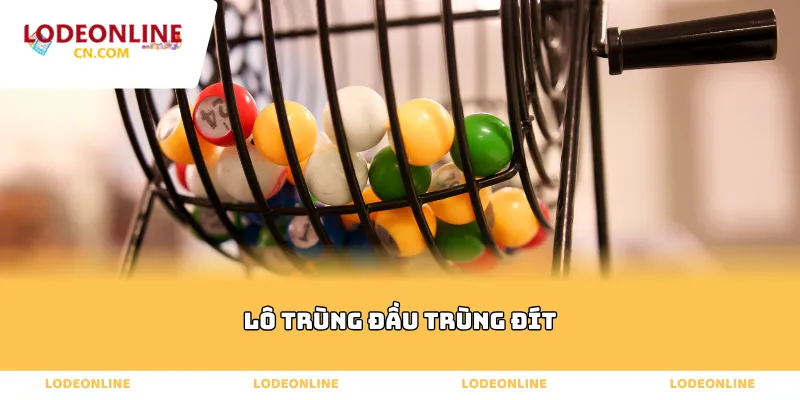 Lô trùng đầu trùng đít