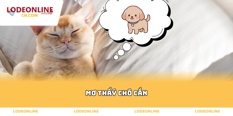 mơ thấy chó cắn