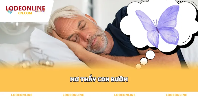 mơ thấy con bướm