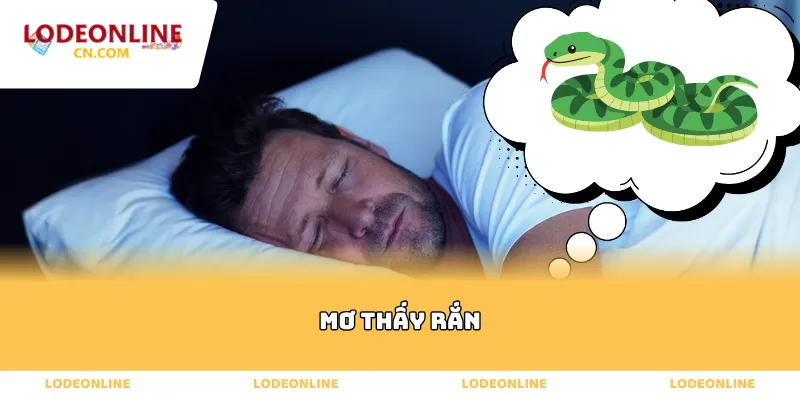 mơ thấy rắn